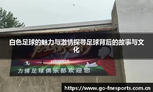 白色足球的魅力与激情探寻足球背后的故事与文化